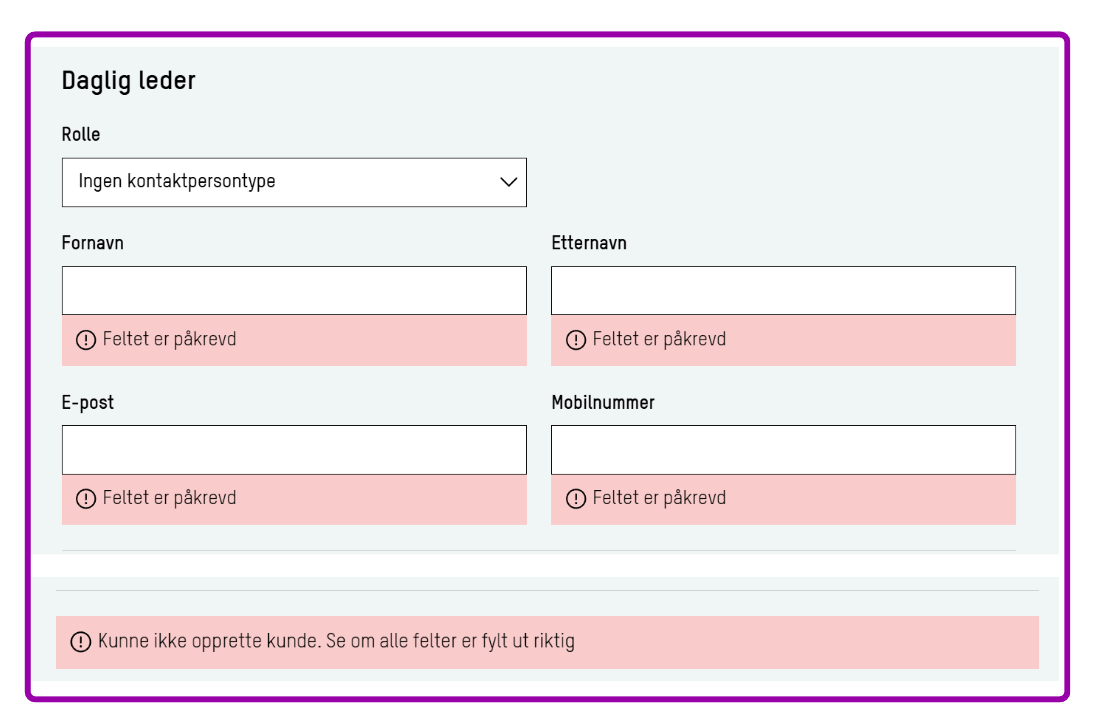 Skjermbilde: Feilmelding når påkrevde felt mangler
